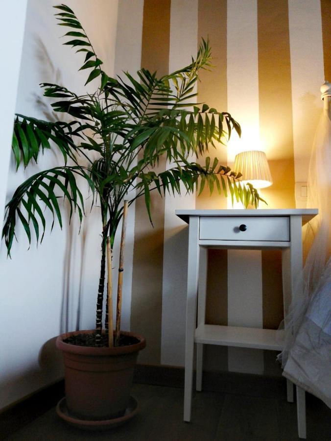 Ab B&B Ischia di Castro Bagian luar foto